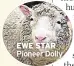  ??  ?? EWE STAR Pioneer Dolly