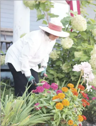  ?? Brodie Johnson • Times-Herald ?? The St. Francis County Master Gardeners care for many different projects in the area, including the flower beds at the SFC Museum. Master Gardener Anita Vandiver works to weed and clean the flower beds at the museum this morning.