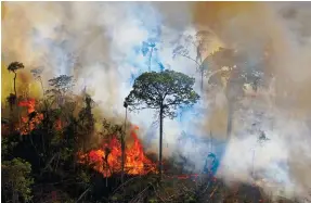  ?? Photo: AFP ?? Illegal fires and deforestat­ion of the Amazon destroyed an area bigger than Qatar in the year to July.