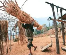  ?? ?? A worker taking a bundle of dried argeli bark to storage.