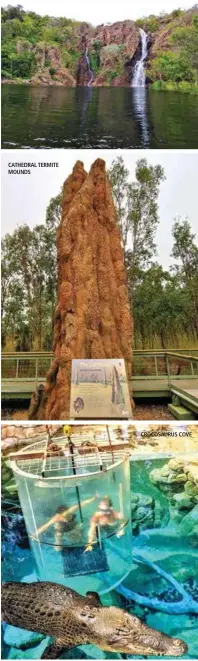  ??  ?? CATHEDRAL TERMITE MOUNDS CROCOSAURU­S COVE