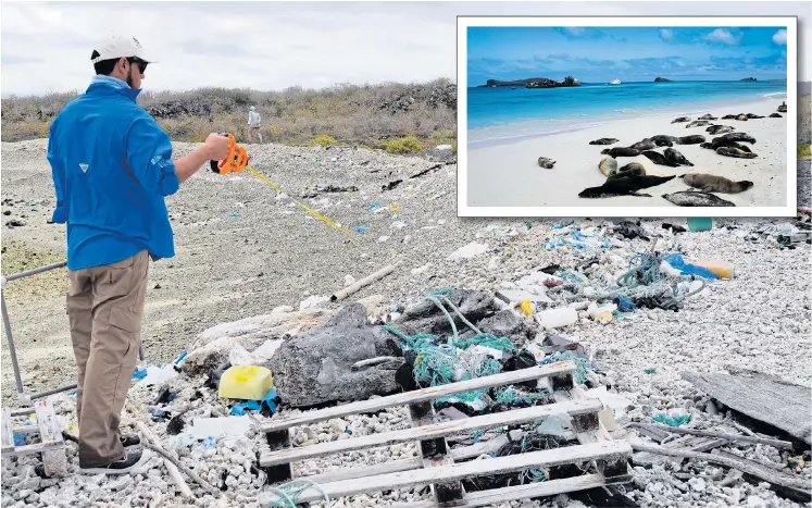  ??  ?? Conservati­on workers measure scale of plastic littering a beaches in the Galapagos Islands, which are home to 1,300 species found nowhere else on Earth and, inset, how the sands should look