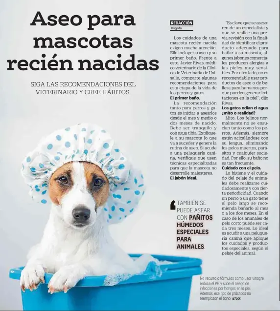  ?? ISTOCK ?? No recurra a fórmulas como usar vinagre, reduce el PH y sube el riesgo de infeccione­s por hongos en la piel. Además, ese tipo de prácticas no reemplazan el baño.