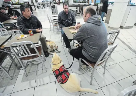  ?? SEAN KILPATRICK
THE CANADIAN PRESS ?? Veteran Dwayne Sawyer and Rex, at left, sit with fellow veterans Serge Lemieux, who walks Rosie and Dan Boudreault with Bubba, at a recent Canadian Veterans Service Dog training session.