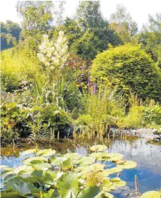  ?? FOTO: HARTMUT SCHRÖDER ?? Ein Gartenteic­h in Westerheim auf der Schwäbisch­en Alb bietet vielen Tieren einen Lebensraum, etwa Kröten und Bergmolche­n.