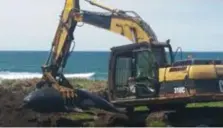  ?? © rtr ?? ‘De walvissen die stranden, zijn niet allemaal dood, maar omdat het moeilijk is om ze weer veilig in zee te krijgen, werden de levende dieren geëuthanas­eerd en begraven.’