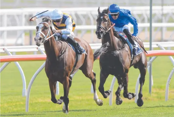  ?? Picture: AAP IMAGE ?? Tom Melbourne is one of seven runners that trainer Chris Waller has entered in the Tails Stakes at Doomben on Saturday.