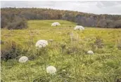  ?? BRYAN ANSELM/THE NEW YORK TIMES ?? A field where Hecate Energy proposed building a solar farm in Copake, New York.