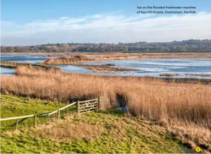  ??  ?? Ice on the flooded freshwater marshes of Ken Hill Estate, Snettisham, Norfolk