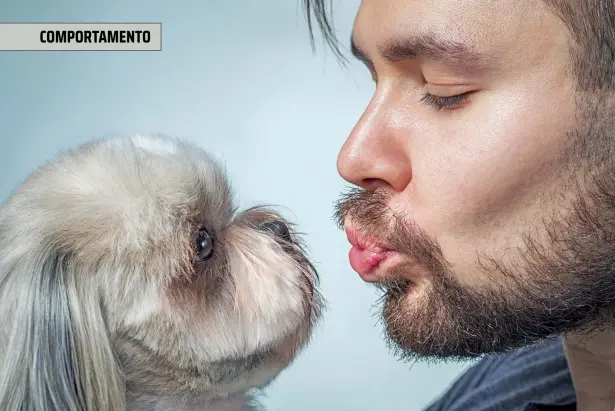  ??  ?? Attenzione agli occhiali da sole!
Meglio non indossare gli occhiali da sole quando siamo con Fido, è un accessori che può far paura. Anche la natura, come difesa, simula occhi grandi e neri tra gli animali per intimidire o ipnotizzar­e l’avversario: il cobra, l’orca, il panda, il procione, certe specie di farfalle e persino le tigri che quando si abbassano per bere mostrano dei punti bianchi e neri sulle orecchie che sembrano occhi per dare l’impression­e di essere ancora attente.