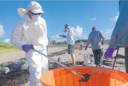  ?? JOE CAVARETTA/SOUTH FLORIDA SUN SENTINEL ?? Workers from the Palm Beach County Parks and Recreation Department pick up dead fish from the Ocean Inlet Park in Ocean Ridge.