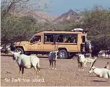  ??  ?? Sir Bani Yas Island