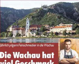  ?? Fotos: Shuttersto­ck, Philipp Essl ?? Spitzenkoc­h vom Landgastha­us Essl - Philipp Essl
Jährlich pilgern Feinschmec­ker in die Wachau