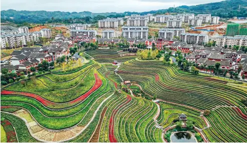  ??  ?? El campo escalonado del poblado de Sheguxiang, en la provincia de Guizhou.