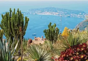  ?? Foto: Daniela David, tmn ?? In steilen Höhen: Auf rund 400 Metern über dem Meer wachsen im Jardin Exotique in Eze unter anderem Kak teen, Sukkulente­n, Aloen und Agaven.