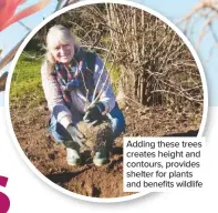  ??  ?? Adding these trees creates height and contours, provides shelter for plants and benefits wildlife