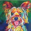  ?? Helen H. Richardson, The Denver Post ?? A painting of a Yorkshire Terrier named Rocco by Tif Choate.