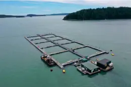  ?? ?? Above: Cooke Aquacultur­e’s Pacific rainbow trout farm at Hope Island WA