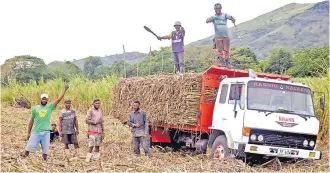  ?? Picture: FILE/REINAL CHAND ?? The Ministry of Sugar and FSC intend to inform the sugarcane farmers there are no plans by the Government to diversify the sugar production into syrup. Cane cutters in Balata, Tavua last year.
