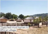  ??  ?? Thatched mud homes in African village.