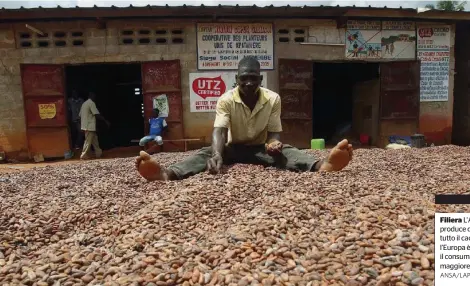  ?? FOTO ANSA/LAPRESSE ?? Filiera L’africa produce quasi tutto il cacao, l’europa è il consumator­e maggiore