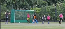  ?? 01_B42hockey0­4 ?? The senior ladies celebrate a goal by Lorraine Hewie.