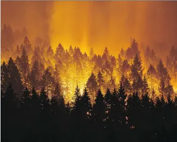  ?? GENNA MARTIN/SEATTLEPI.COM VIA AP, FILE ?? Danny Blair, co-director of University of Windsor’s Prairie Climate Centre, says he links recent larger forest fires in part to climate change, and says it’s going to get hotter.