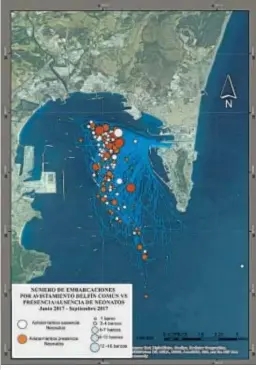  ??  ?? Embarcacio­nes por avistamien­to frente a la presencia/ausencia de neonatos.