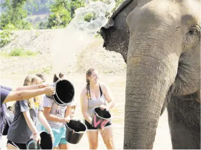  ?? Courtesy ?? Lydia De Leon, right, helps other students give a bath to an elephant during her summer trip with Loop Abroad, a program for teens who are interested in conservati­on and ecology. De Leon got to spend time with her favorite animal, the elephant.