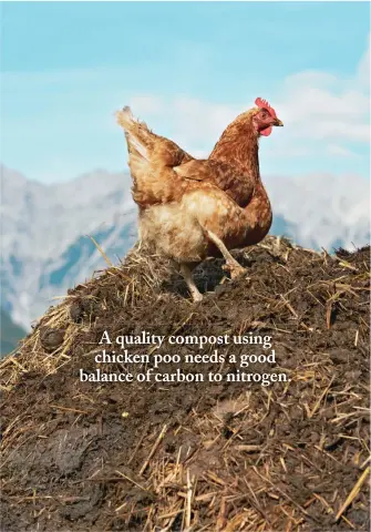  ??  ?? A quality compost using chicken poo needs a good balance of carbon to nitrogen.