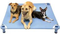  ?? ?? Customize your pet’s most comfortabl­e place with the Build a Cot from 4Legs4Pets! Available in 8,000 colour combinatio­ns and 8 sizes, this USA-made bed is lightweigh­t, stackable, and suitable for both indoor and outdoor. 4legs4pets.com