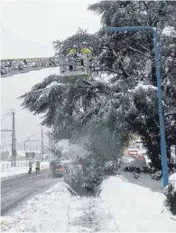  ?? FOTO: FFW LINDAU ?? Auch mit umgestürzt­en Bäumen hat es die Feuerwehr derzeit zu tun.