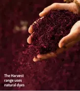  ??  ?? The Harvest range uses natural dyes