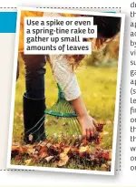  ??  ?? Use a spike or even a spring-tine rake to gather up small amounts of leaves