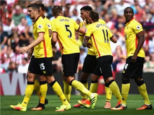  ??  ?? Capoue has rebuilt at Watford after failing to impress at Spurs (Getty)