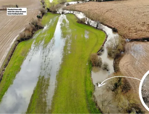  ??  ?? Flooded rivers with water the colour of cocoa mean feeding barbel.