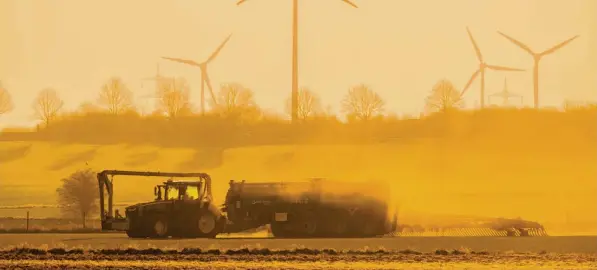  ?? Foto: Julian Stratensch­ulte, dpa (Symbolbild) ?? Das Grundwasse­r ist an vielen Stellen zu stark mit Nitrat belastet. Landwirtin­nen und Landwirte dürfen dort nicht mehr so viel düngen.