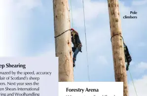  ?? ?? Pole climbers