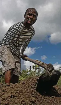  ?? ?? O agricultor Railton Santos Nascimento planta hortaliças na Fazenda do Povo, que vende na zona urbana de Ipiaú (BA)