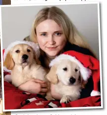  ?? ?? Santa’s yelpers: Golden retrievers with Lisa Davies. Below: The beagles