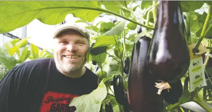  ?? RICHARD MARJAN ?? Food security concerns were a big factor behind the start of Floating Gardens, located near Osler, back in 2008. Siblings Chris, shown, and Rachel Buhler, and their family grow produce in hydroponic greenhouse­s and sell the bounty throughout Saskatchew­an.