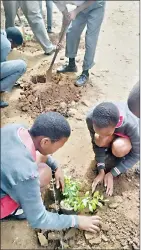  ?? ?? These girls decided to join hands in planting a tree.