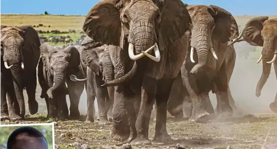  ?? ?? Lucky to be alive: Thiyepo, left, was gored and nearly killed by an elephant when he was ten