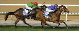  ?? Goldolphin Picture: ?? POTENTIAL STAR. Legend Of Time can give William Buick and Charlie Appleby another success at Meydan in today’s Jumeirah Guineas.