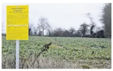  ??  ?? L’enquête publique sur les fermes éoliennes va commencer.