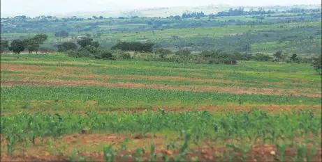  ?? Picture: TSVANGIRAI MUKWAZHI ?? WASTED LAND: Zimbabwe has not been able to feed itself for the last 16 years owing to drought and land invasions.