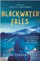  ?? ?? ‘Blackwater Falls’ By Ausma Zehanat Khan. Minotaur, 368 pages, $27