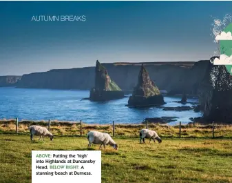  ??  ?? ABOVE: Putting the ‘high’ into Highlands at Duncansby Head. BELOW RIGHT: A stunning beach at Durness.