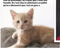  ??  ?? Son chat, Solange. «Quand on a adopté notre chat au printemps, on croyait que c’était une femelle. Et c’est chez le vétérinair­e en juillet qu’on a découvert que c’est un gars.»