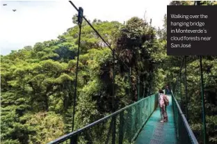  ??  ?? Walking over the hanging bridge in Monteverde’s cloud forests near San José